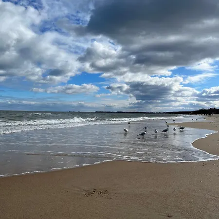 Prime Bankowiec Gdynia