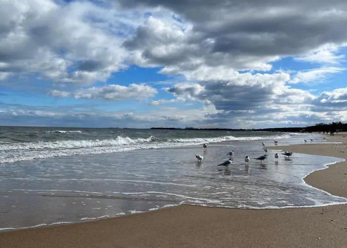 Prime Bankowiec Gdynia